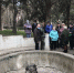 Выезд в село Малореченское - Алуштинский городской совет