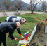 78 лет со Дня освобождения Алушты от немецко-фашистских захватчиков - Алуштинская ЦБС